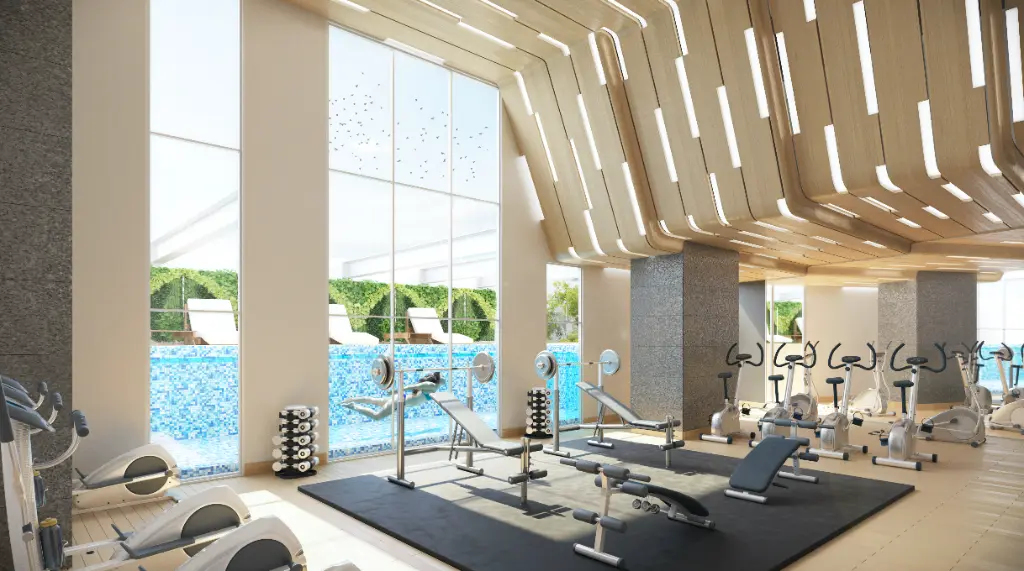 Gym.webp