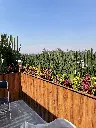image00015.webp