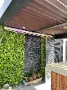 image00008.webp
