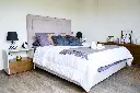Inspiria_Coyoacan_61.webp