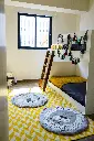 Inspiria_Coyoacan_55.webp