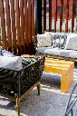 Inspiria_Coyoacan_106.webp
